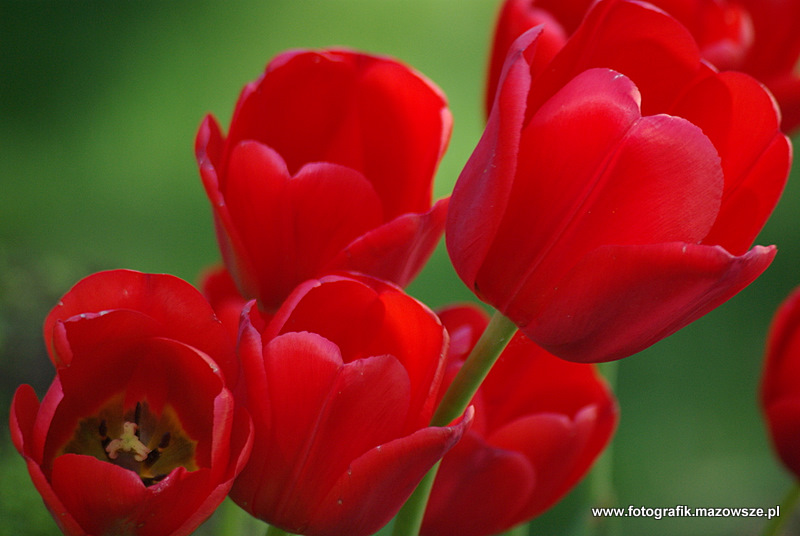 Kliknij aby powrócić